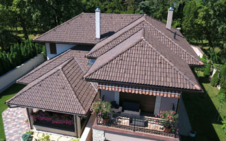 Integer fermentum sagittis velit